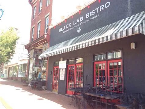 black lab restaurant phoenixville